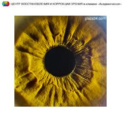 Фотография Прозрение-Юг 5